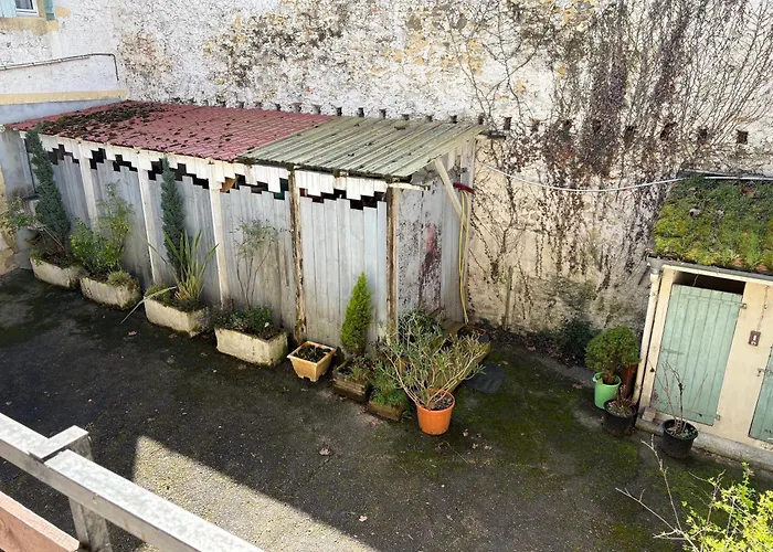 Hirondelles 2 Eugenie-les-Bains