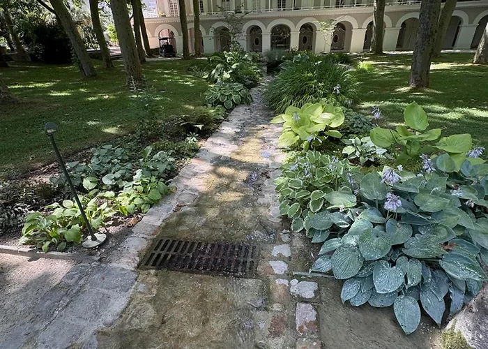 Hirondelles 2 Eugenie-les-Bains