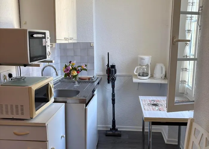 Hirondelles 2 * Eugenie-les-Bains